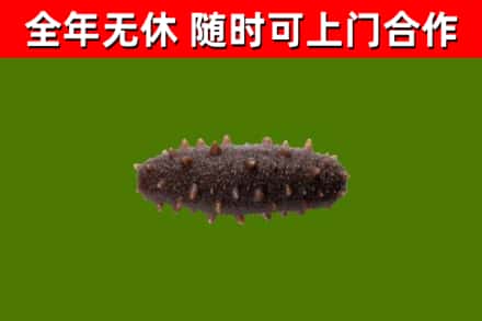 富川烟酒回收干海参.jpg